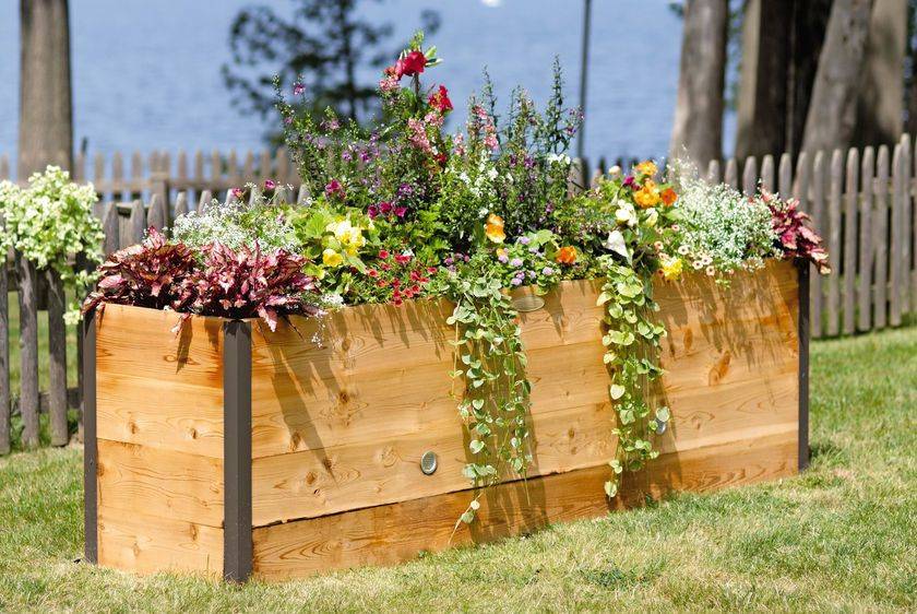 Cedar Keyhole Garden Xx