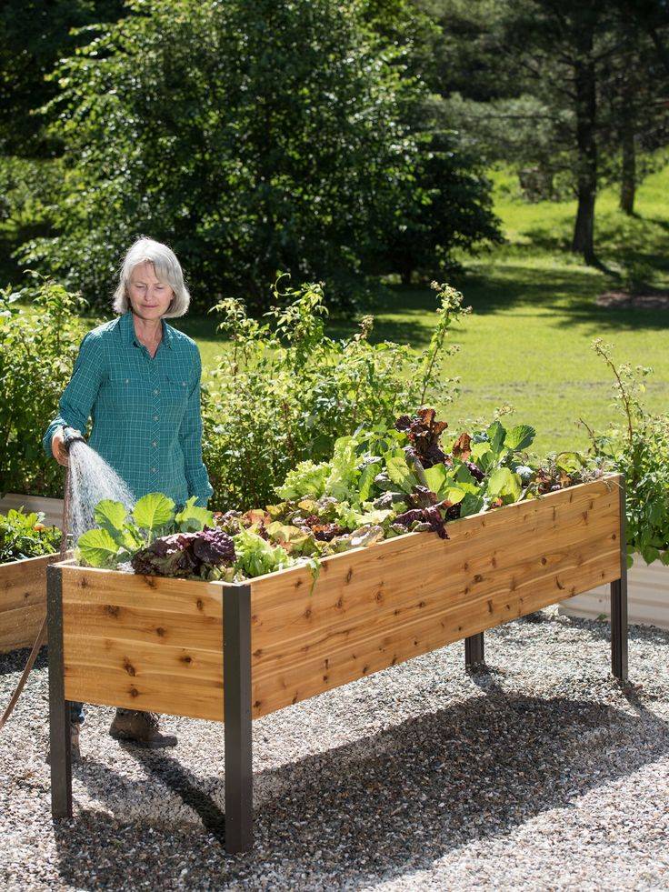 Elevated Cedar Planter Box