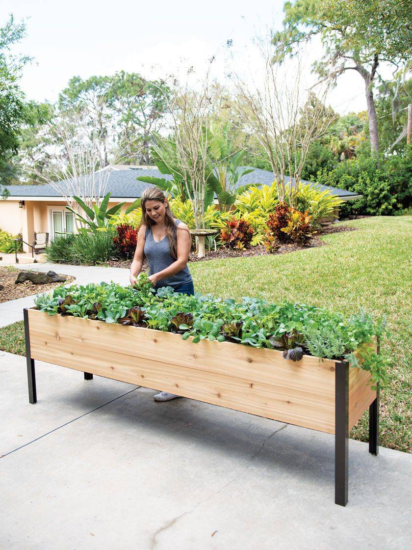 Selfwatering Elevated Cedar Planter Box Ecostain X Gardenerscom