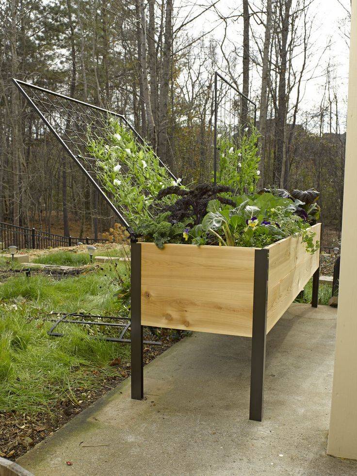 Standard Wooden Raised Beds Harrod Horticultural
