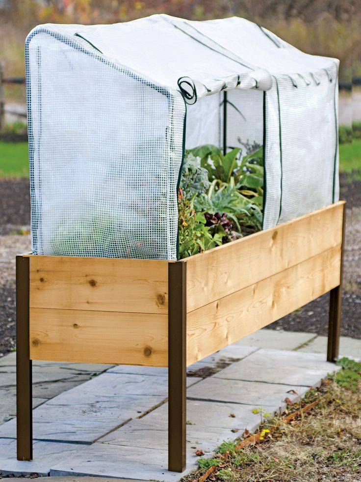 The X Raised Garden Kit