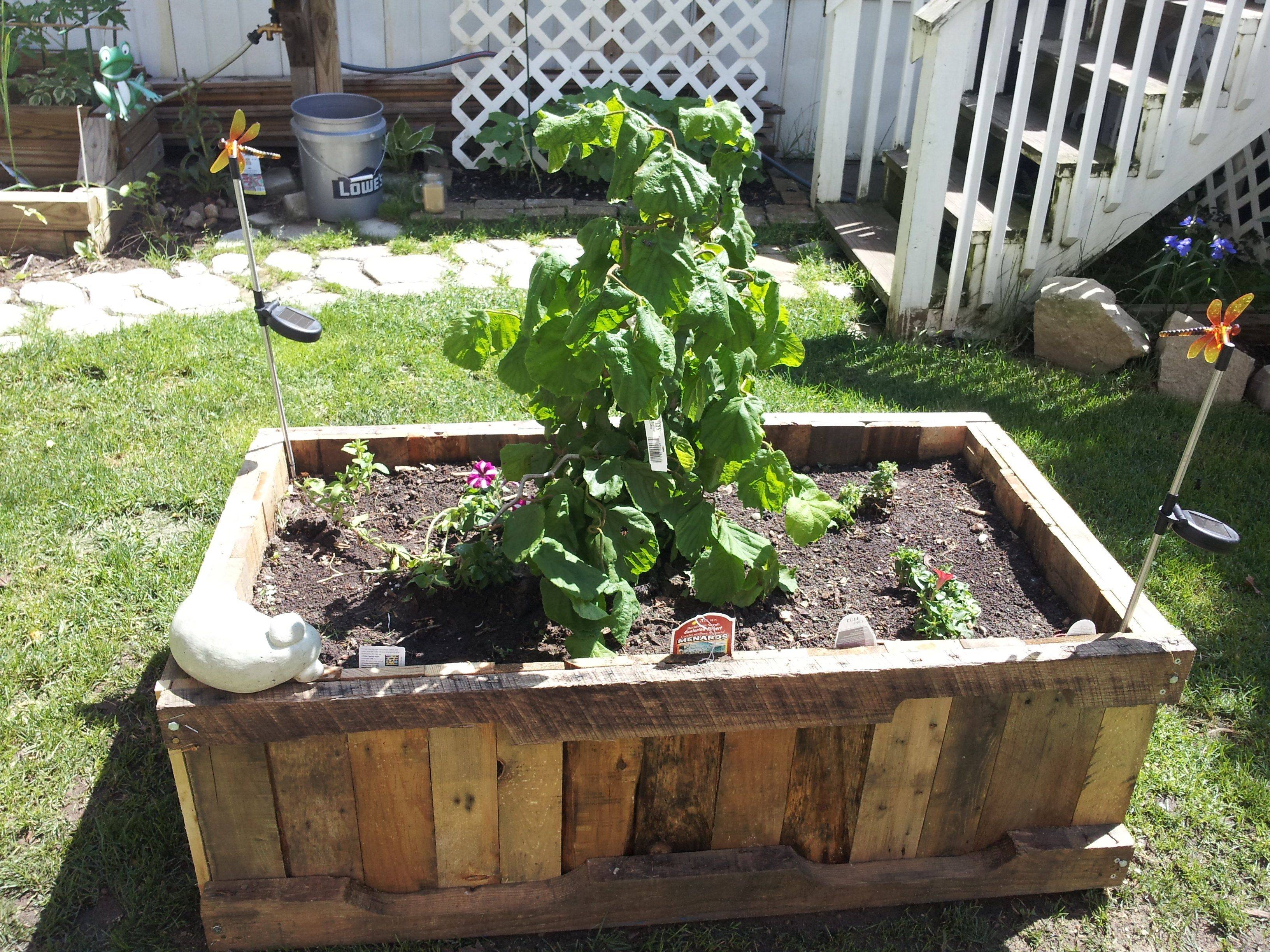 Raised Garden Beds Snappy Pixels