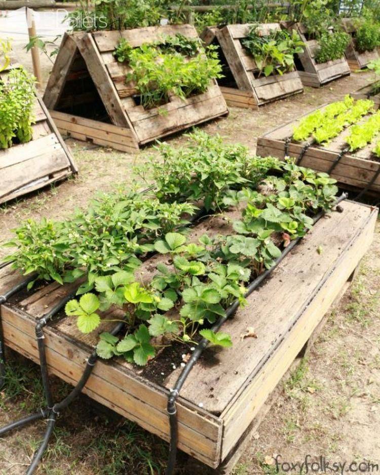 Pallet Garden Design Ideas