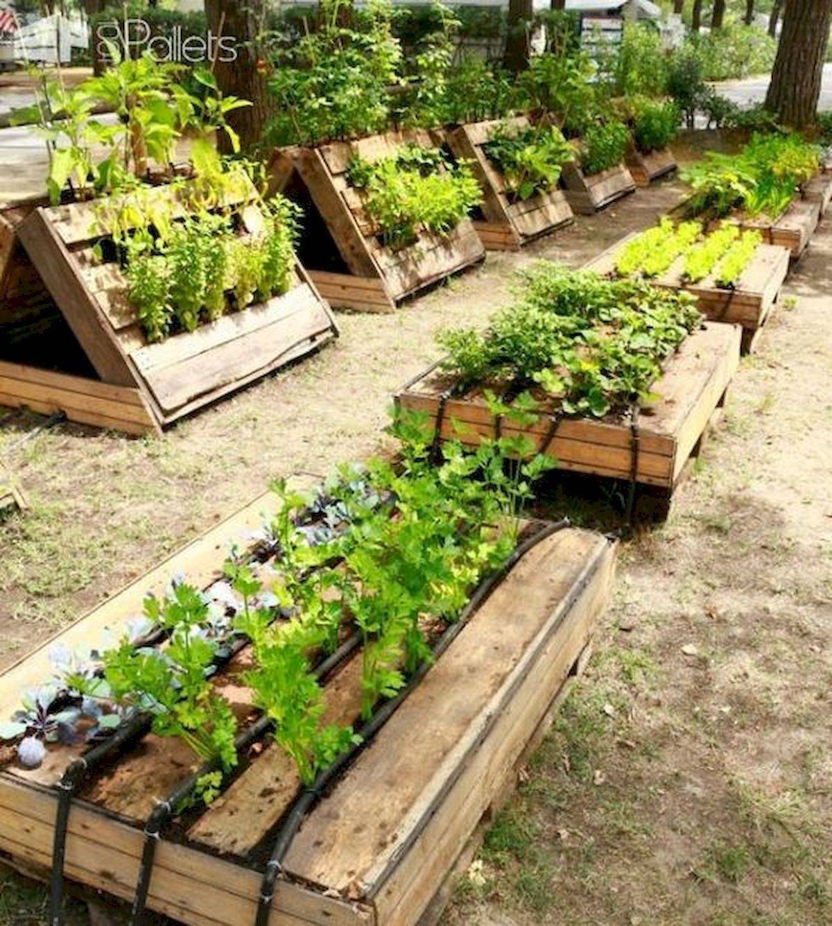 Raised Garden Beds Diy Pallets Ideas