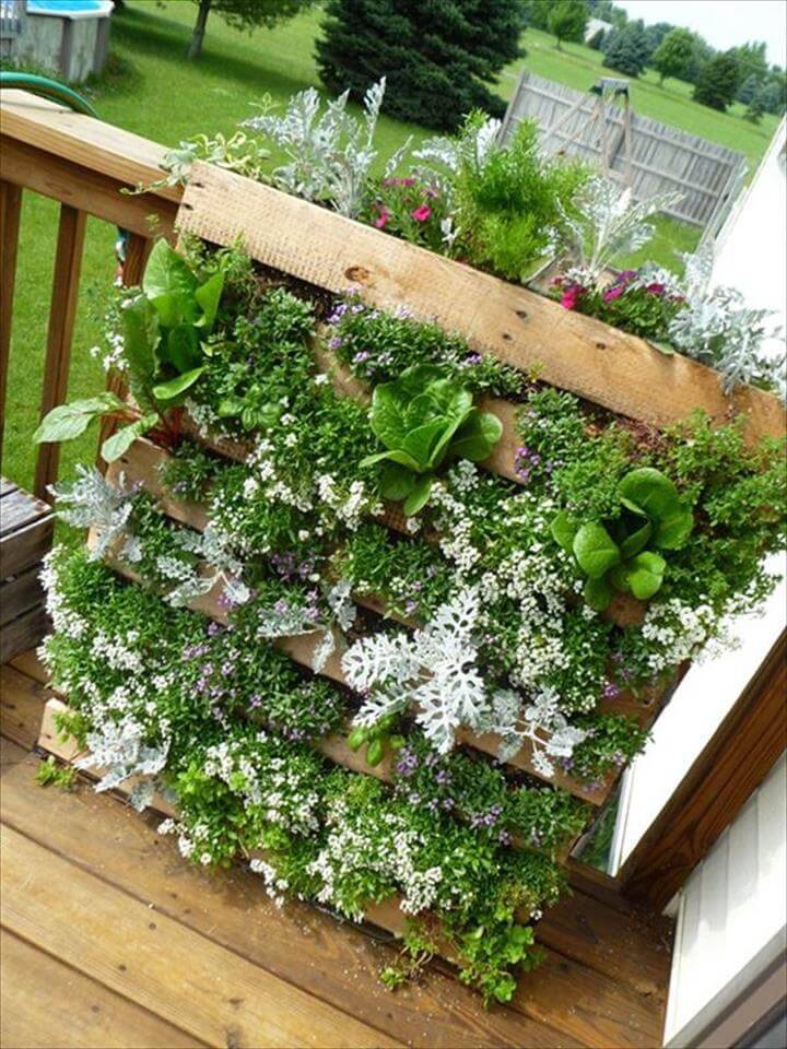 Wooden Pallets