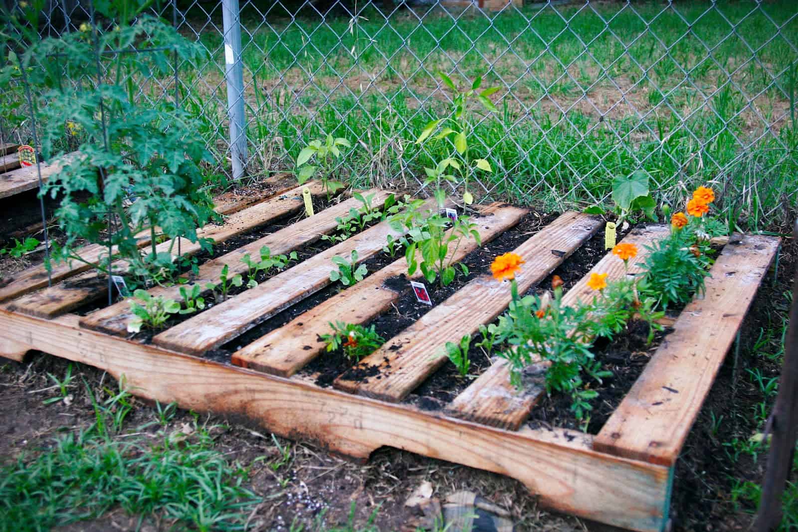 Raised Garden Bed