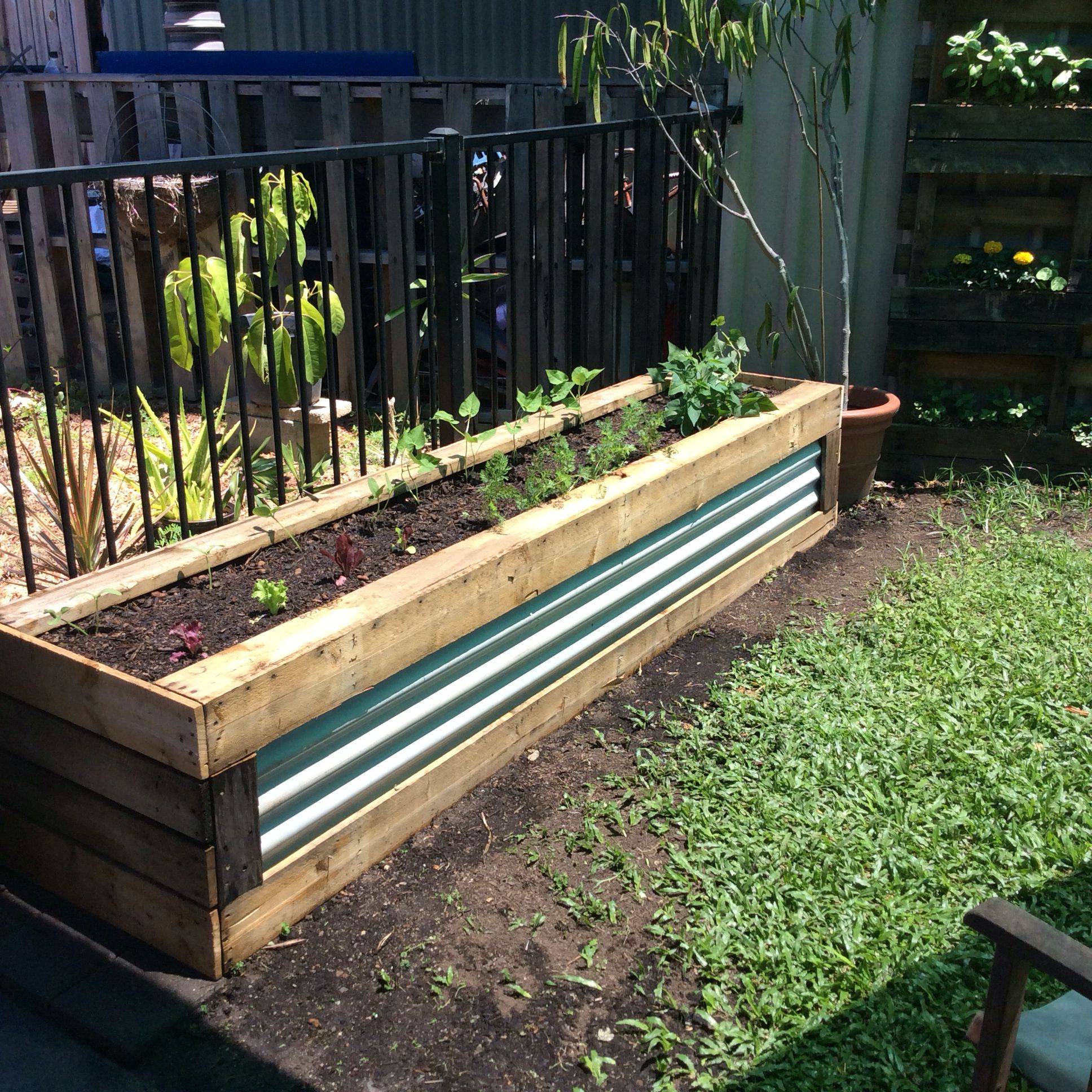 Raised Garden Beds Snappy Pixels