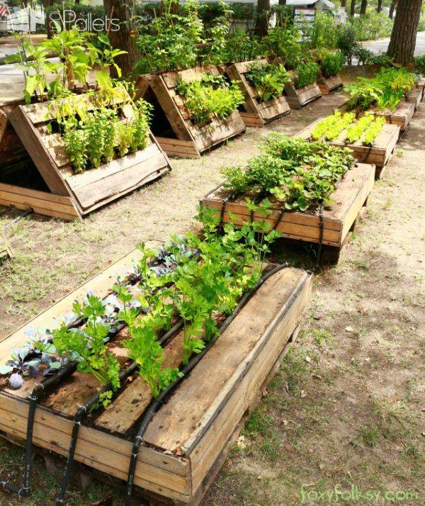 Pallet Raised Garden Bed Ideas