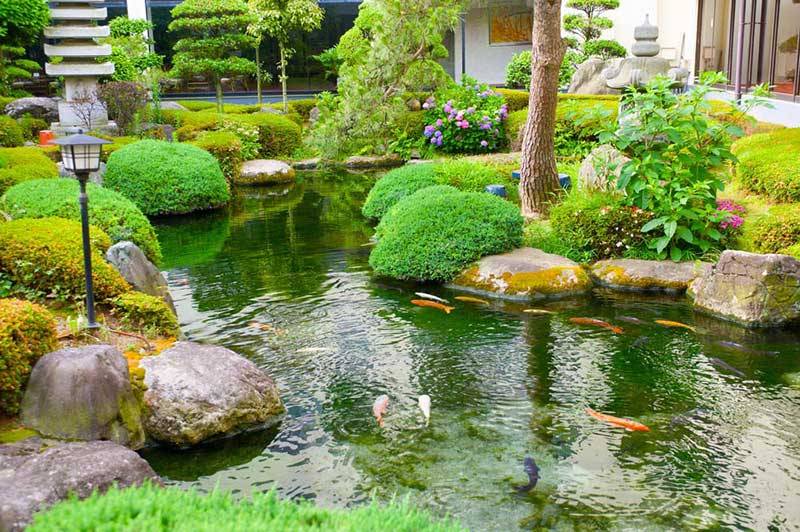 Fish Pond Gardens