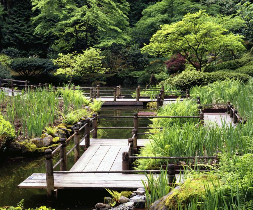 Unique Backyard Garden Water Feature Landscaping Ideas