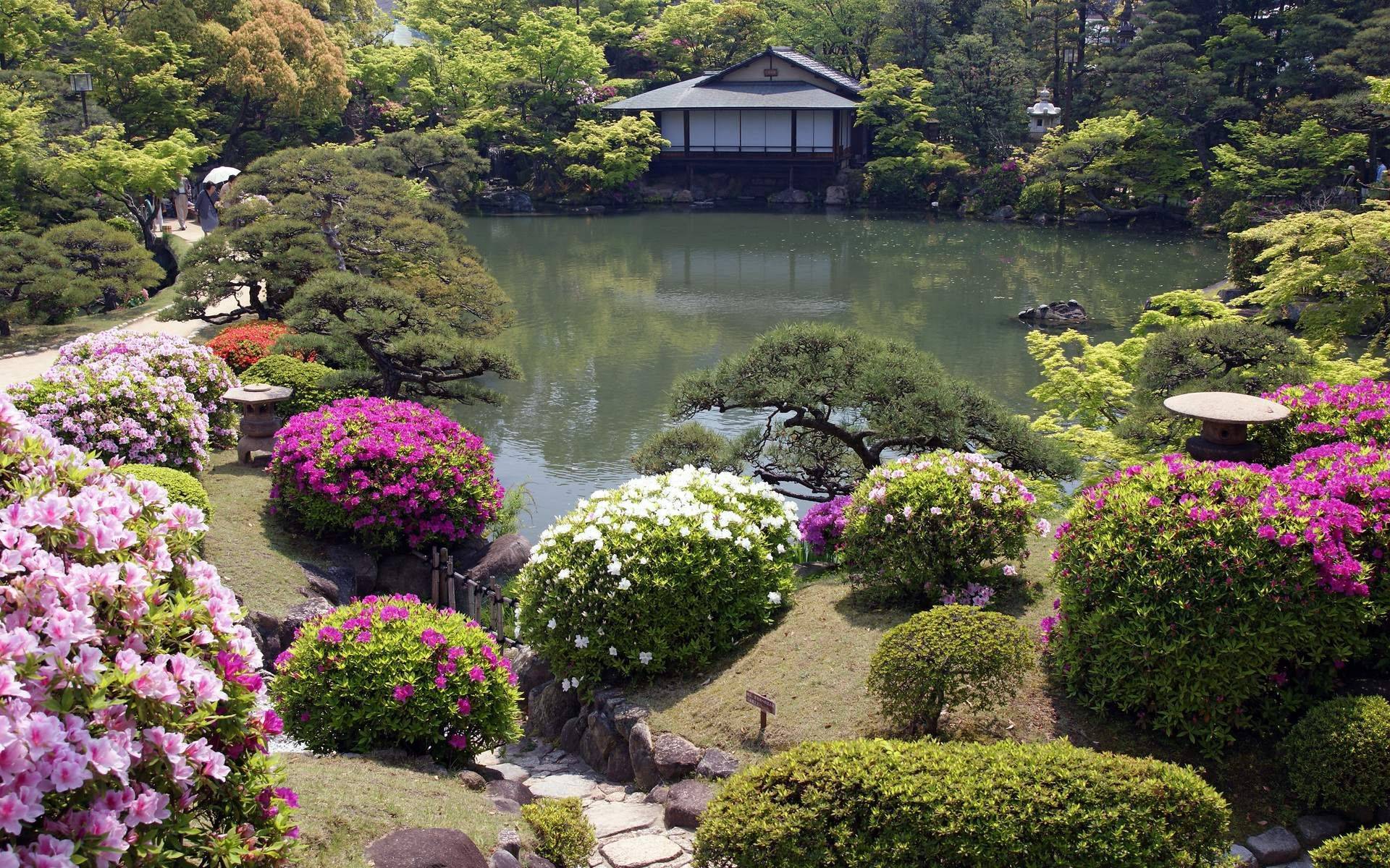 24 Japanese Tea Garden Design Ideas You Must Look SharonSable
