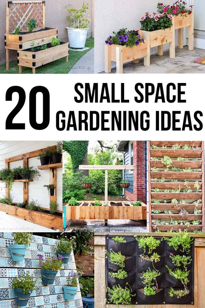 Small Garden Ideas Small Garden