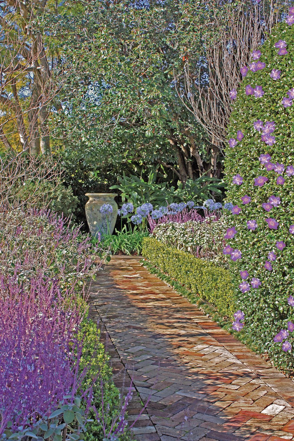 Small Garden Ideas Uk Photograph