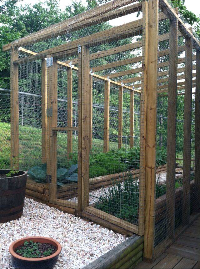 Enclosed Vegetable Garden Structures Diy Projects