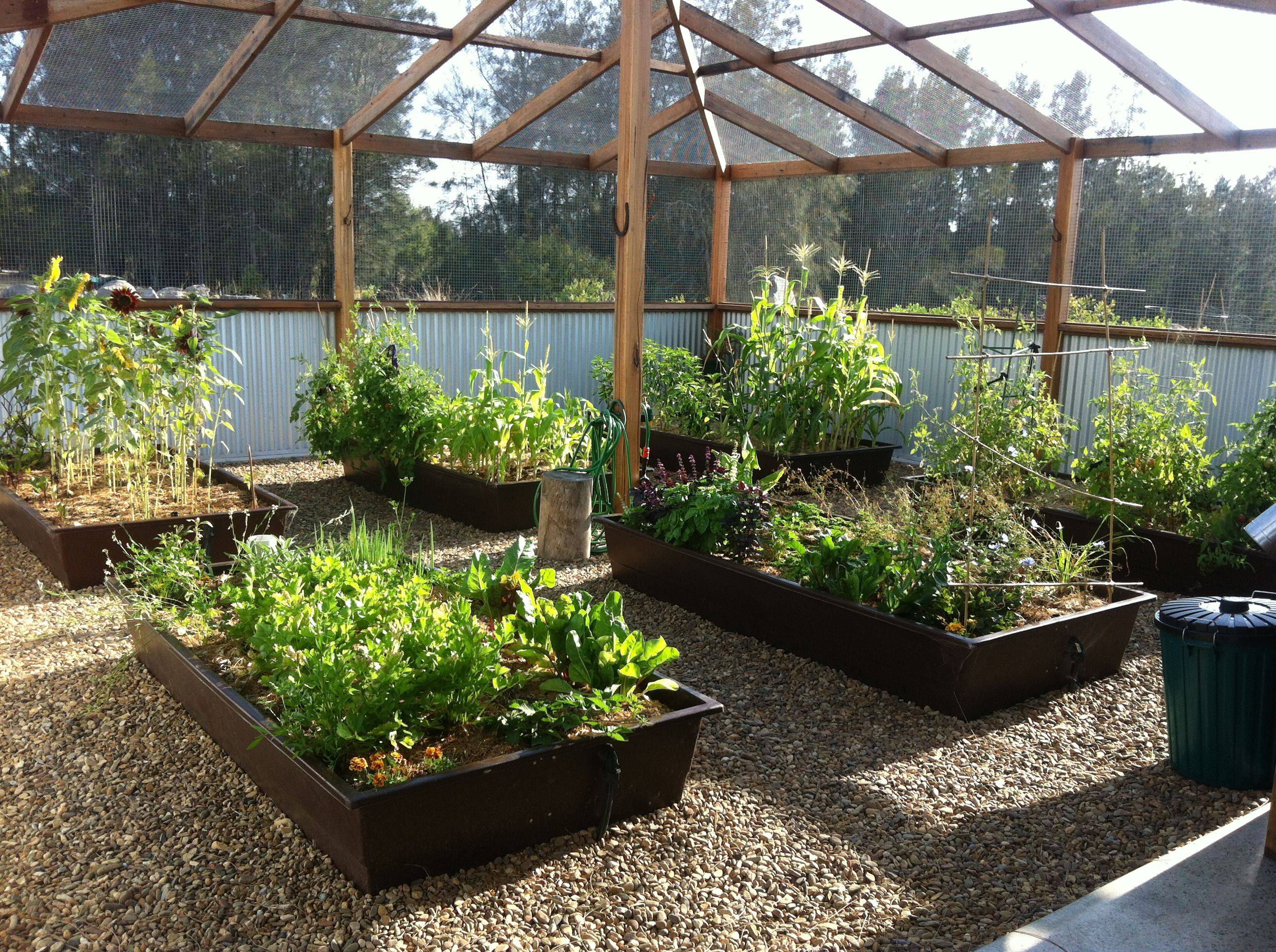 Outdoors Vegetable Garden