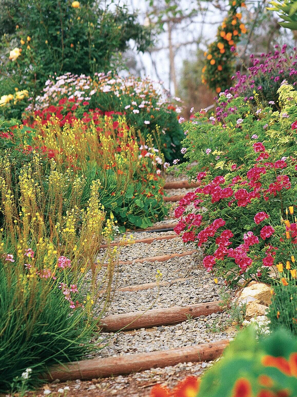 English Garden Design Ideas