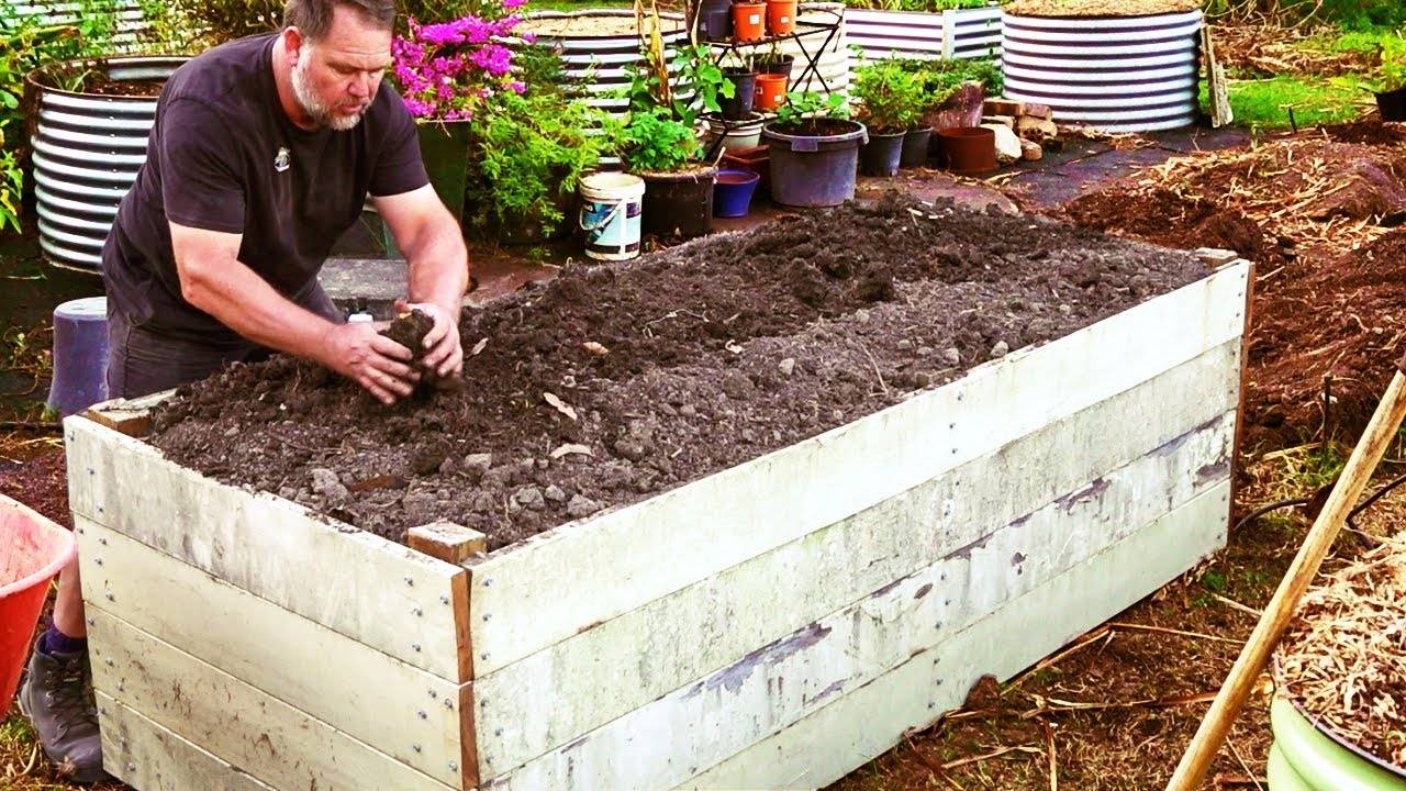 Inspiring Raised Garden Beds Best