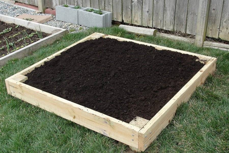 Raised Garden Beds