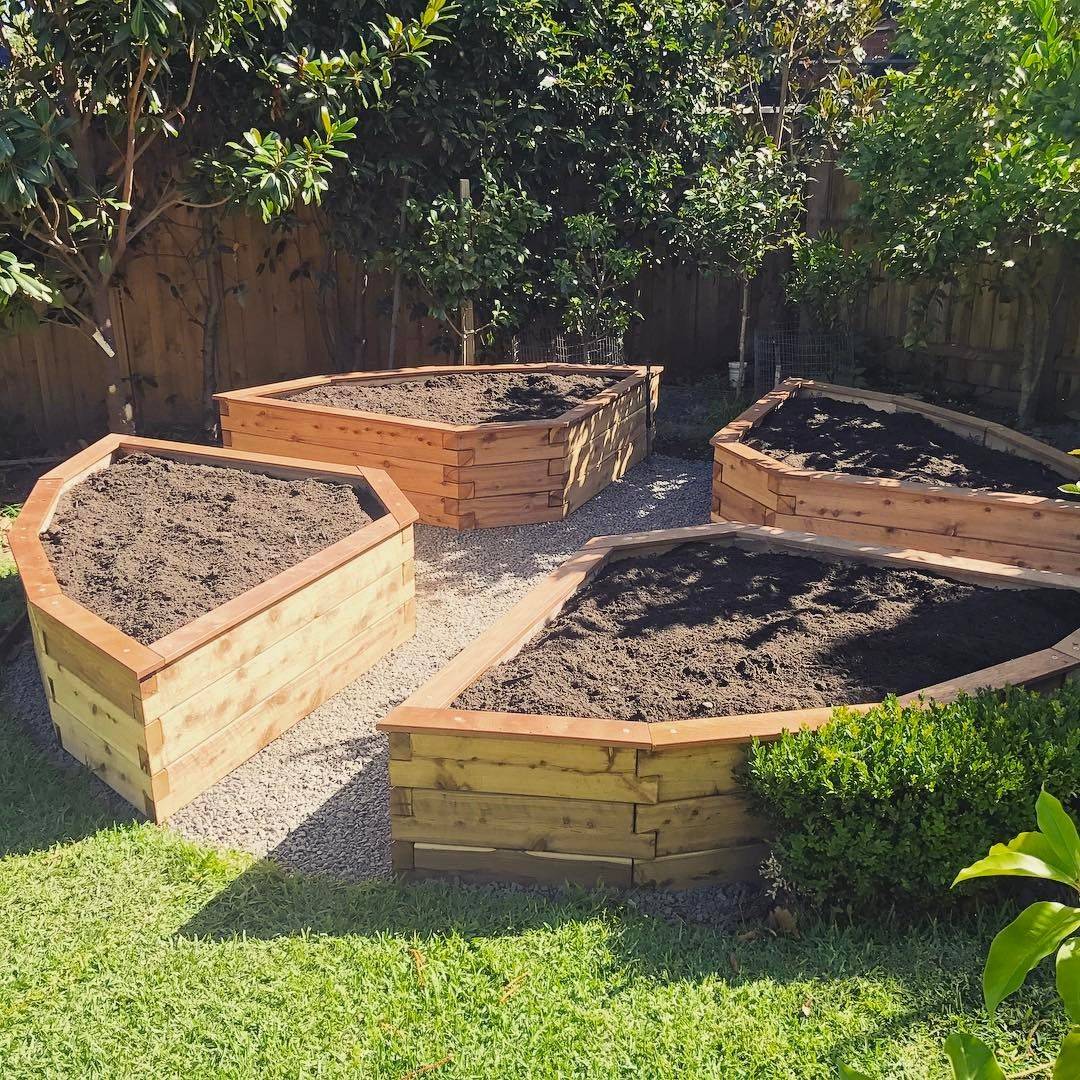 Raised Vegetable Garden Beds