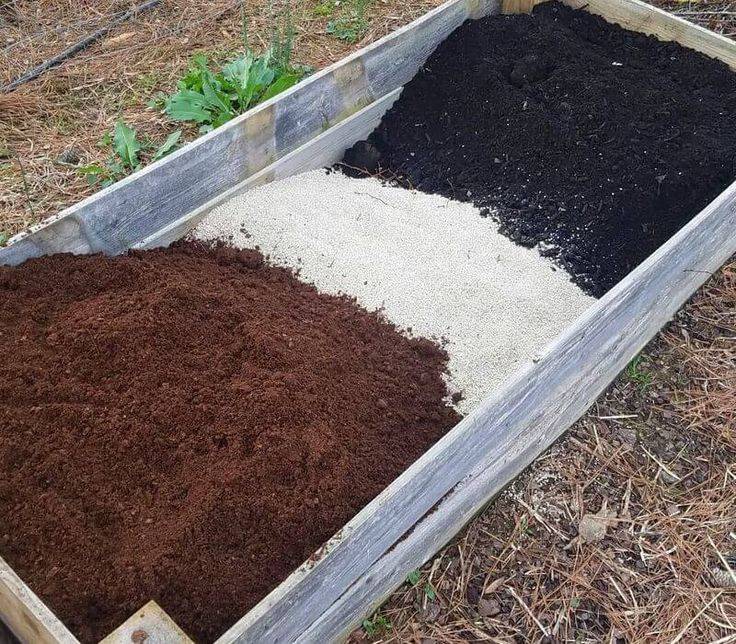 Raised Bed Gardening Starter Guide