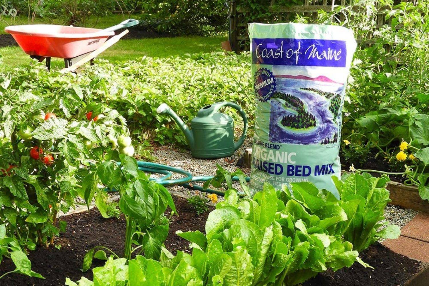 The Raised Bed Garden