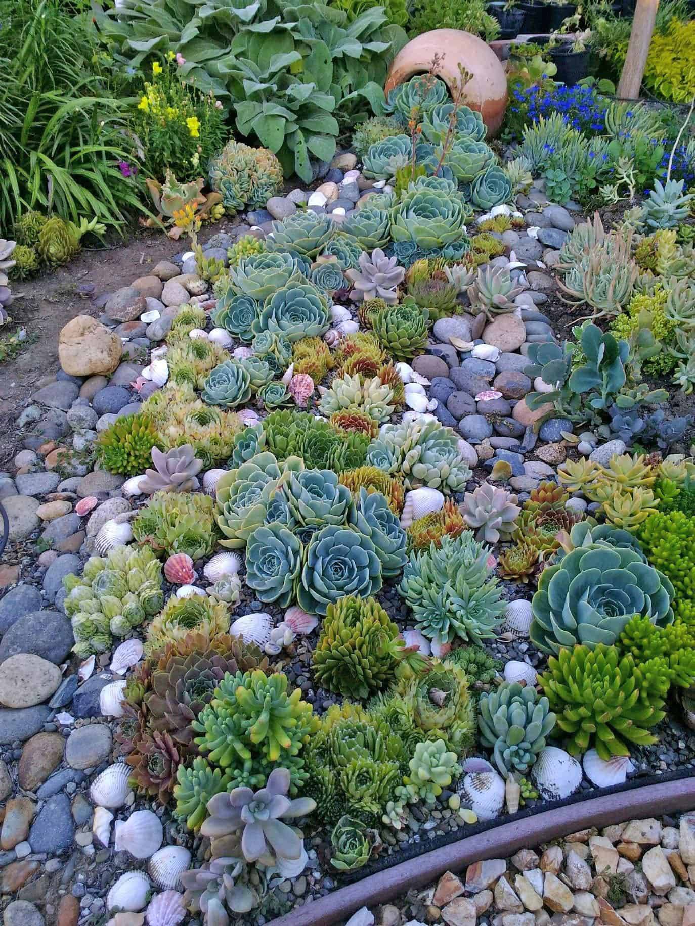 Cool Creative Rock Garden Ideas