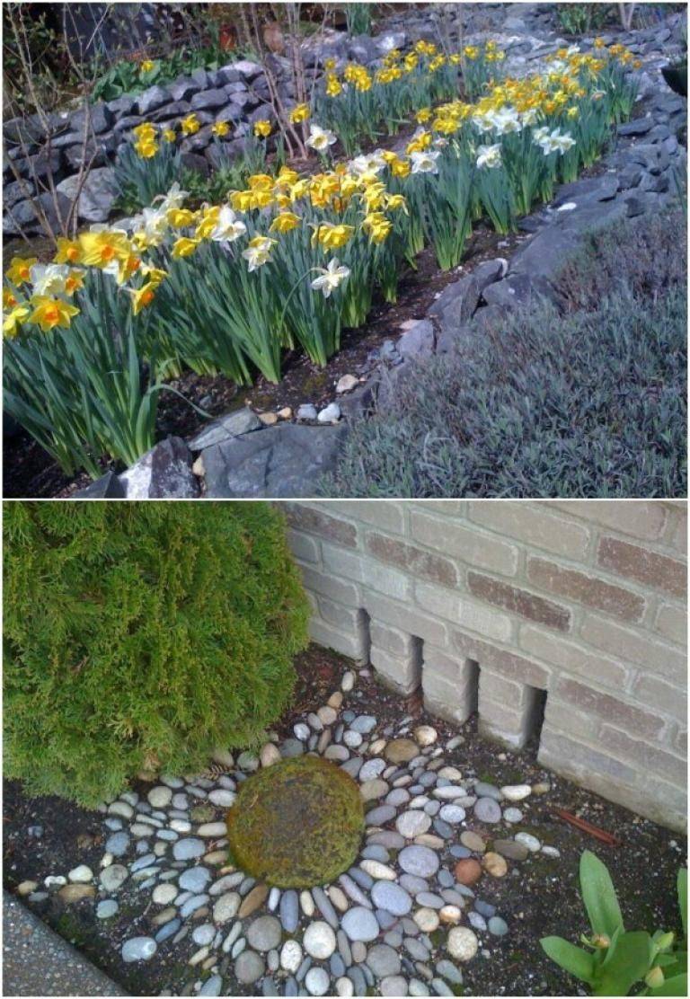 Cool Creative Rock Garden Ideas