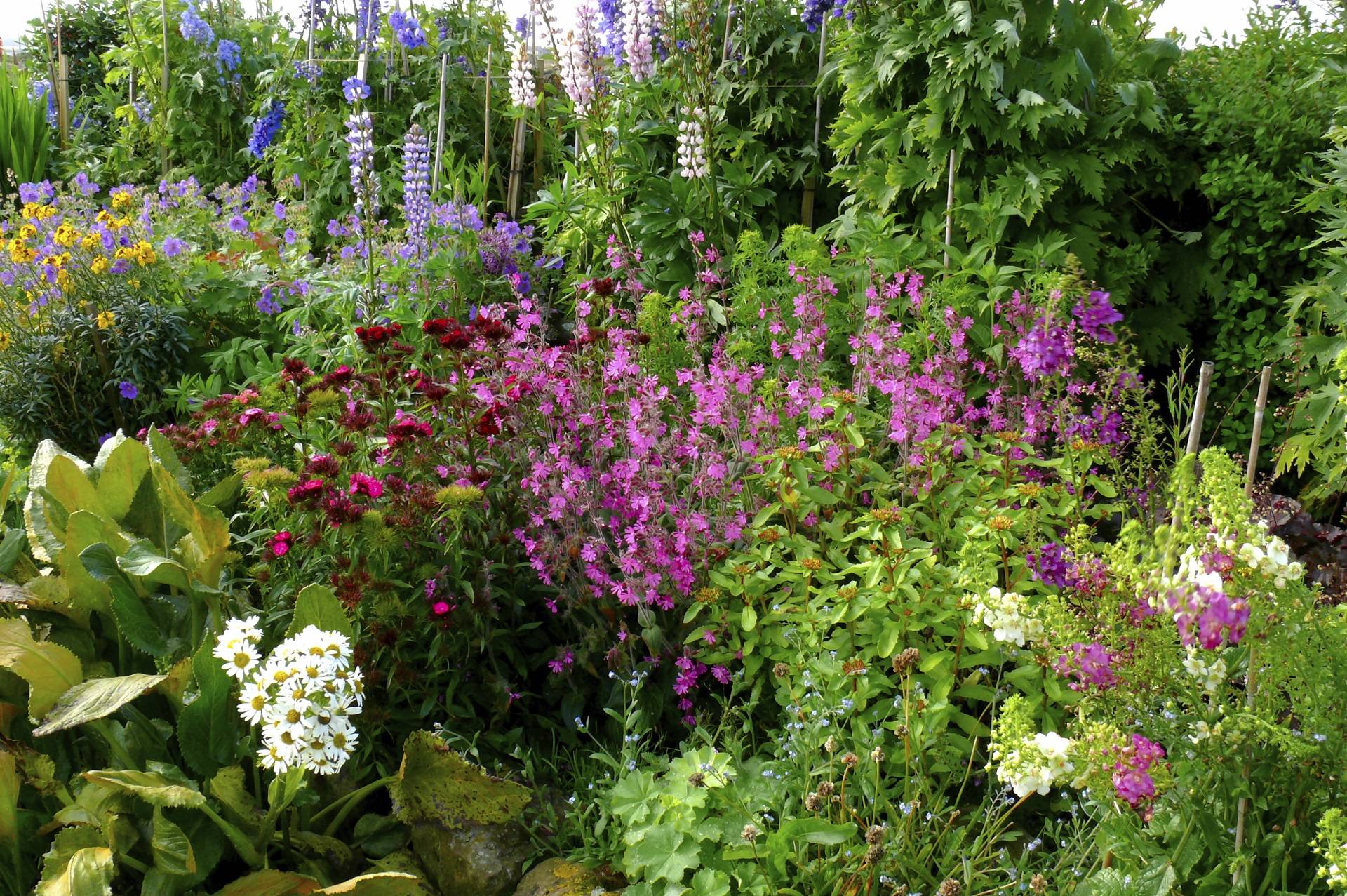 A Cottage Garden And Design Ideas Decorelated