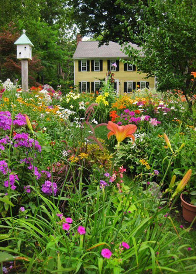 Best Cottage Style Garden Ideas