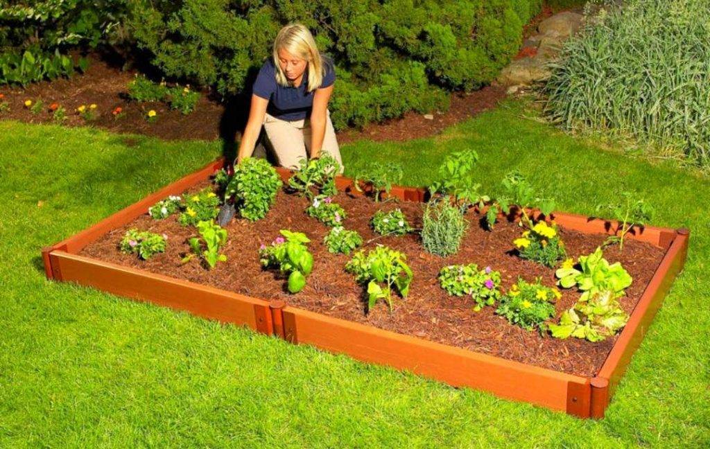 X Cedar Complete Raised Garden Bed Kit Eartheasycom