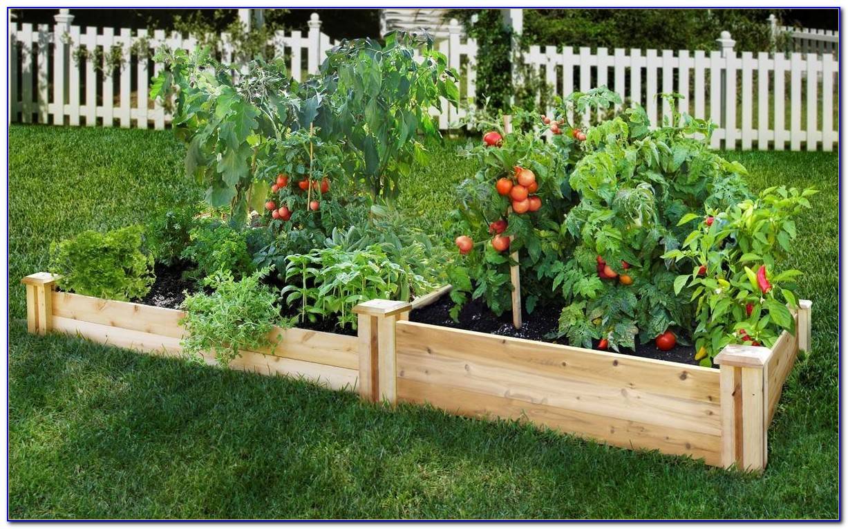 X Cedar Complete Raised Garden Bed Kit Eartheasycom