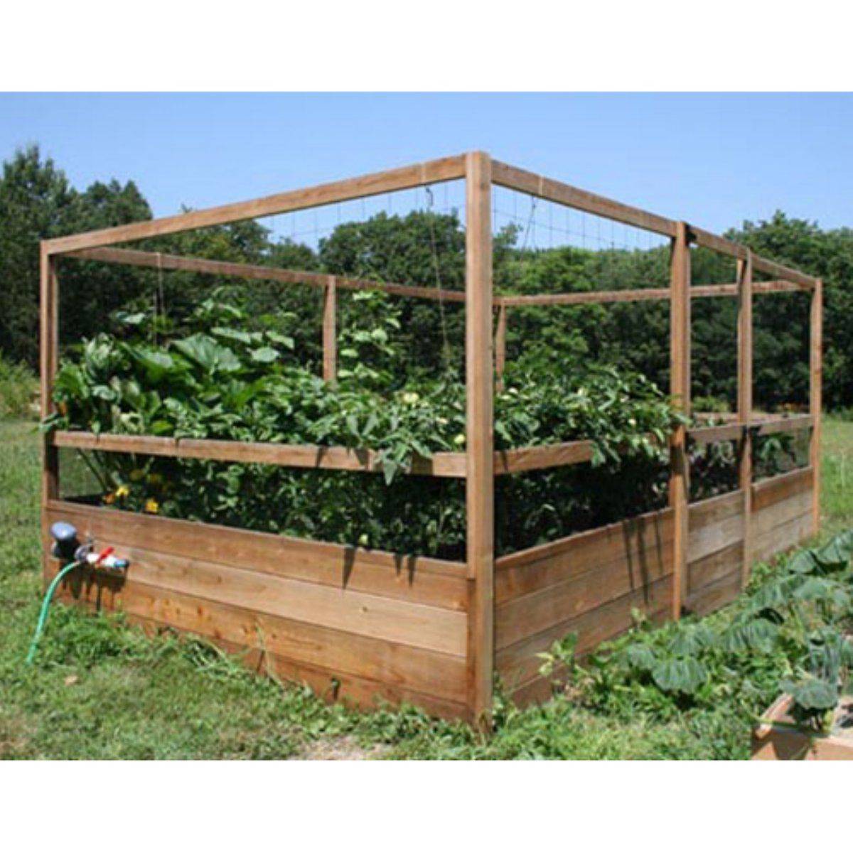 Top Raised Garden Bed Ideas Pictures