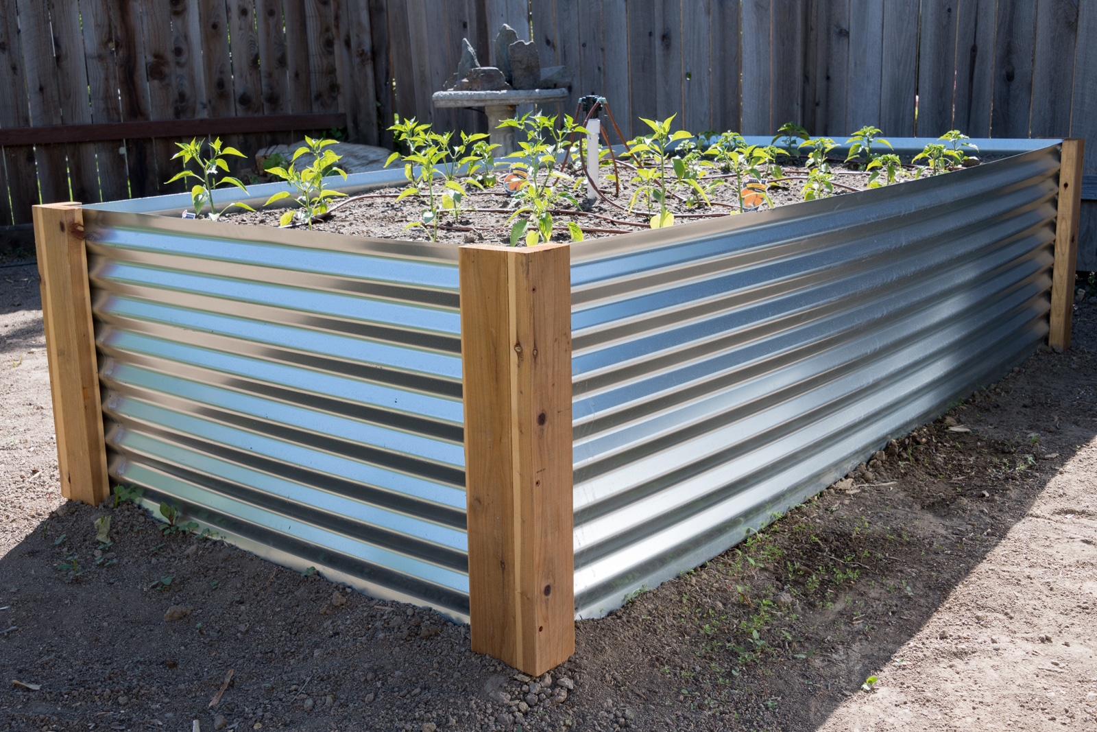 Metalraisedbeds Tall Raised Garden