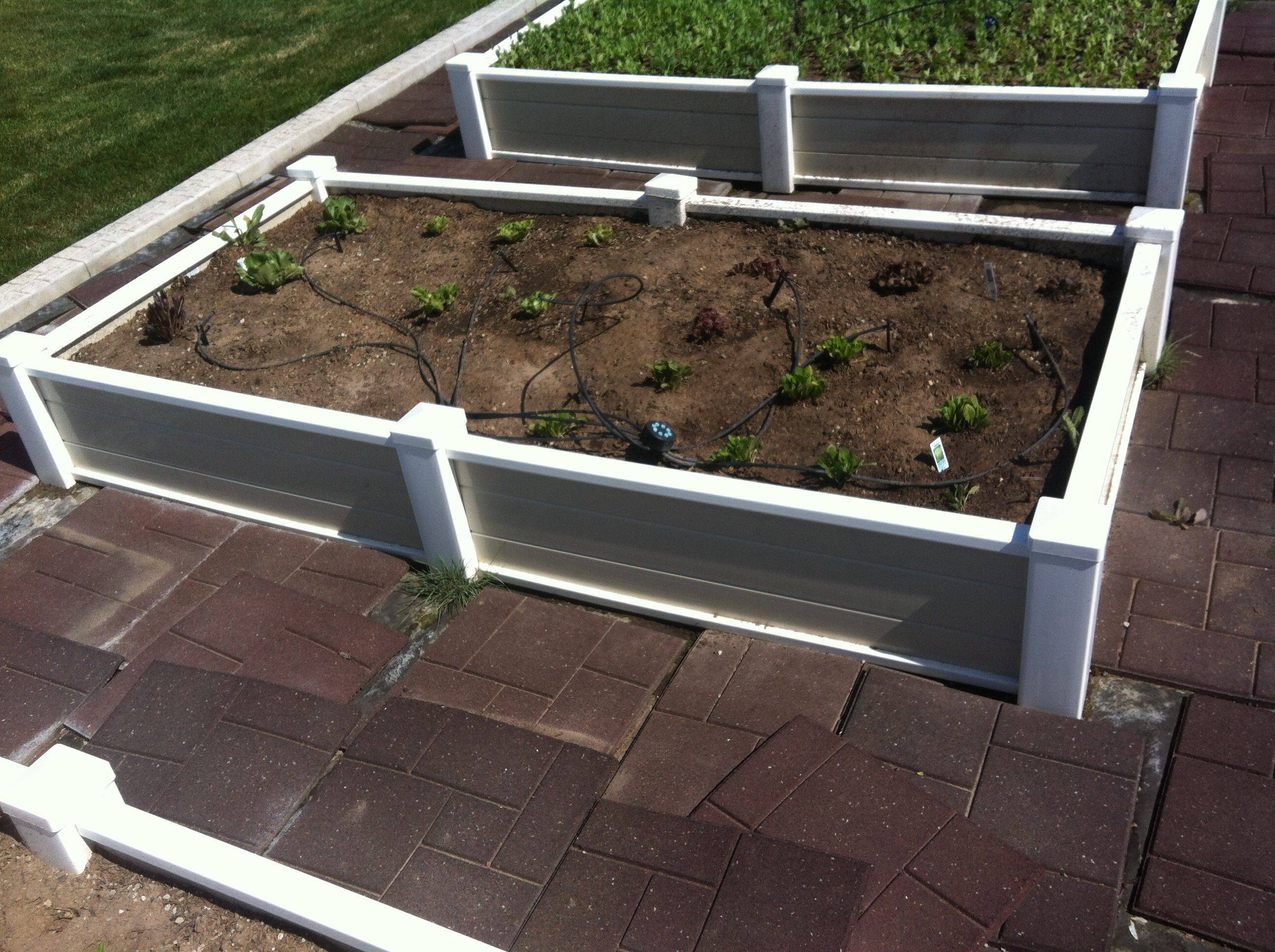 Backyard Raised Bed Garden Ideas