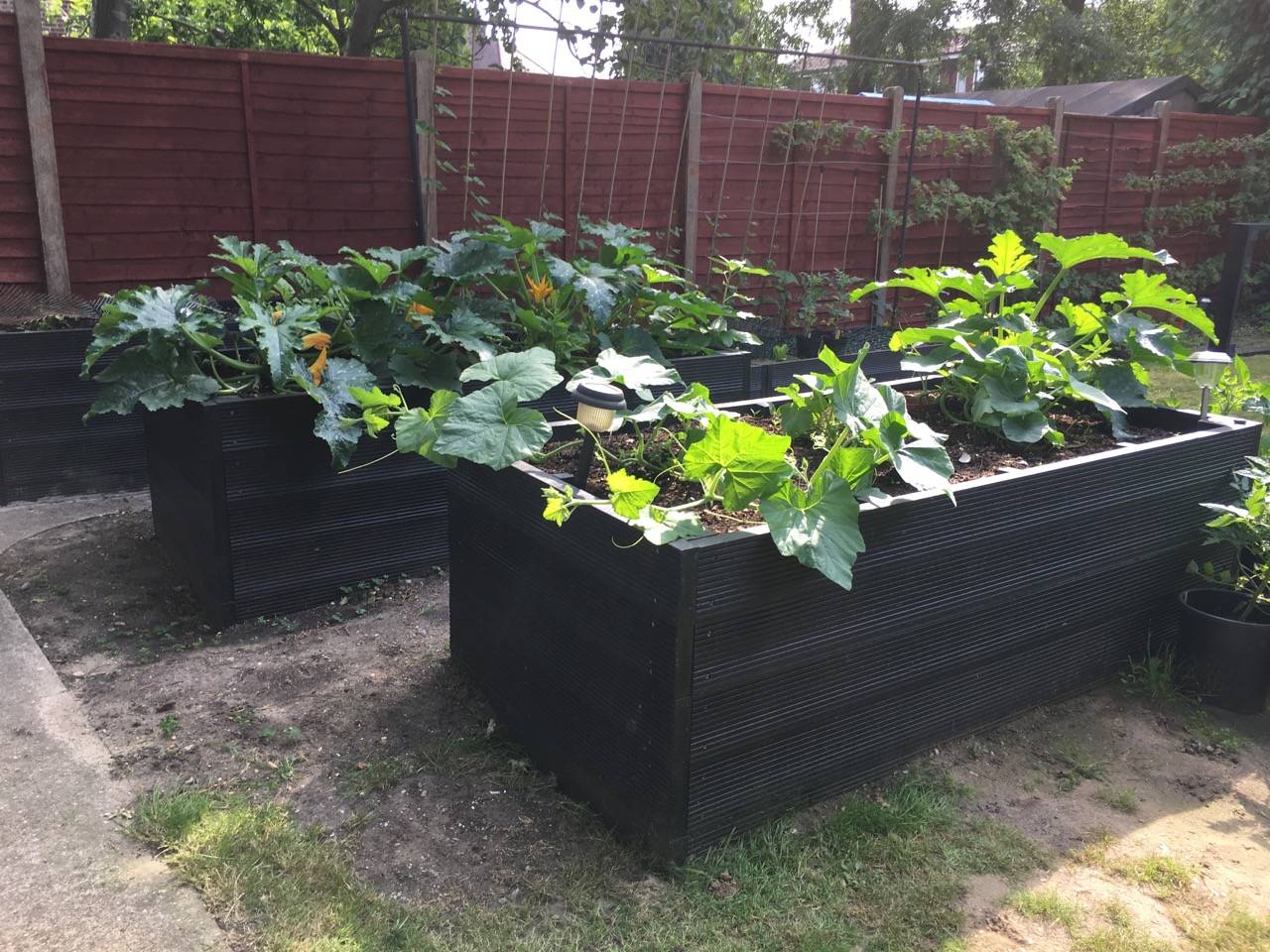 My Raised Bed W Hoops