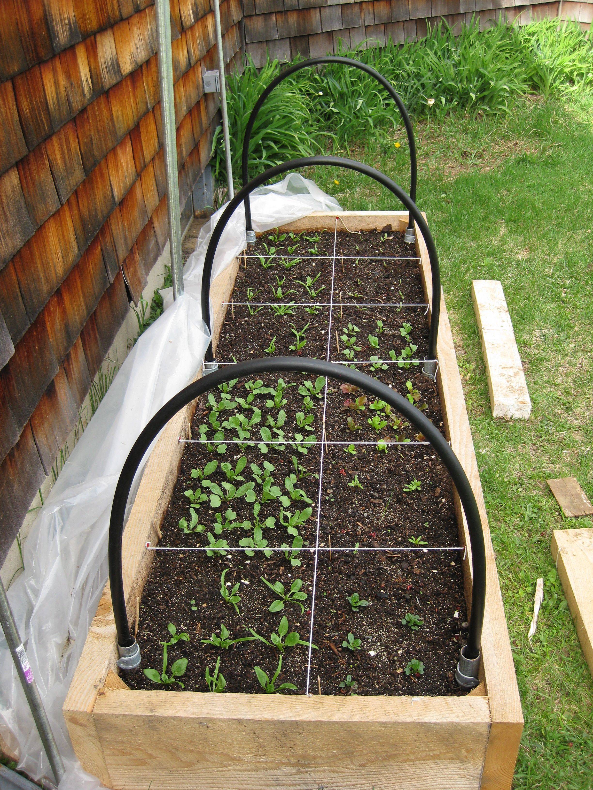 Recycled Plastic Raised Garden Bed X X Vegetable Garden