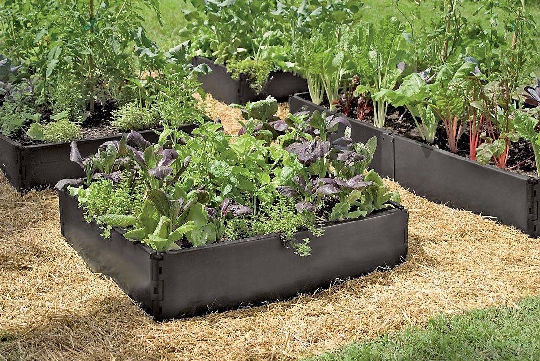 Plastic Raised Garden Beds Periwinkle Grow Bed Raised Beds