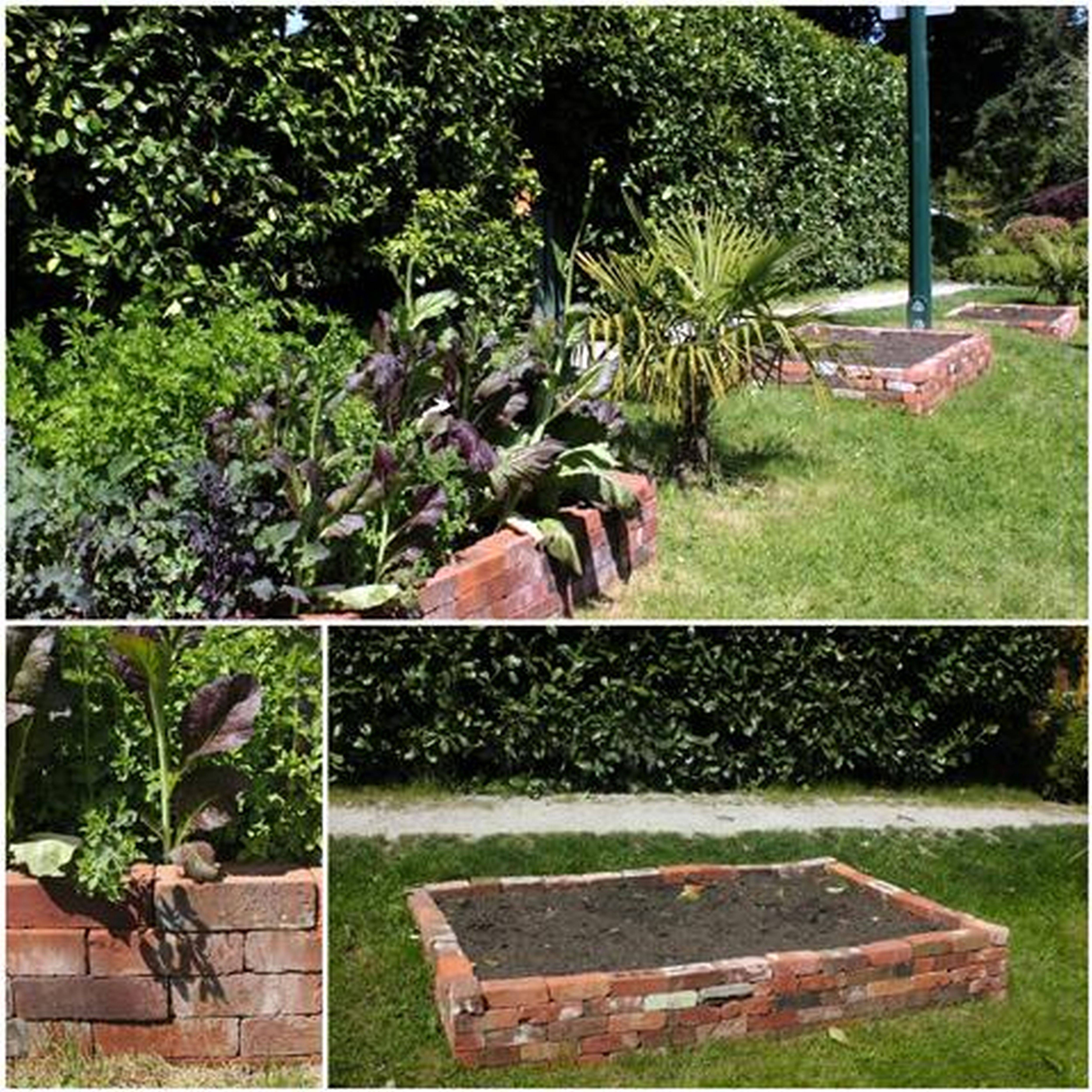Cheap Easy Diy Raised Garden Bed Ideas