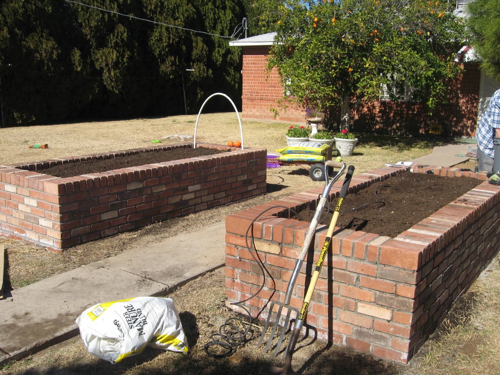 Raised Garden Beds