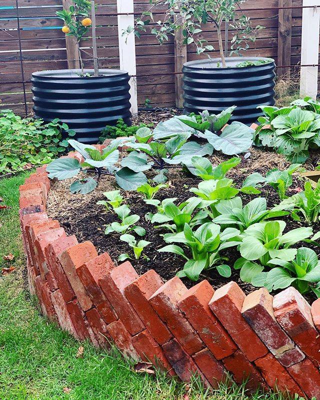 Bed Brick Garden Edging