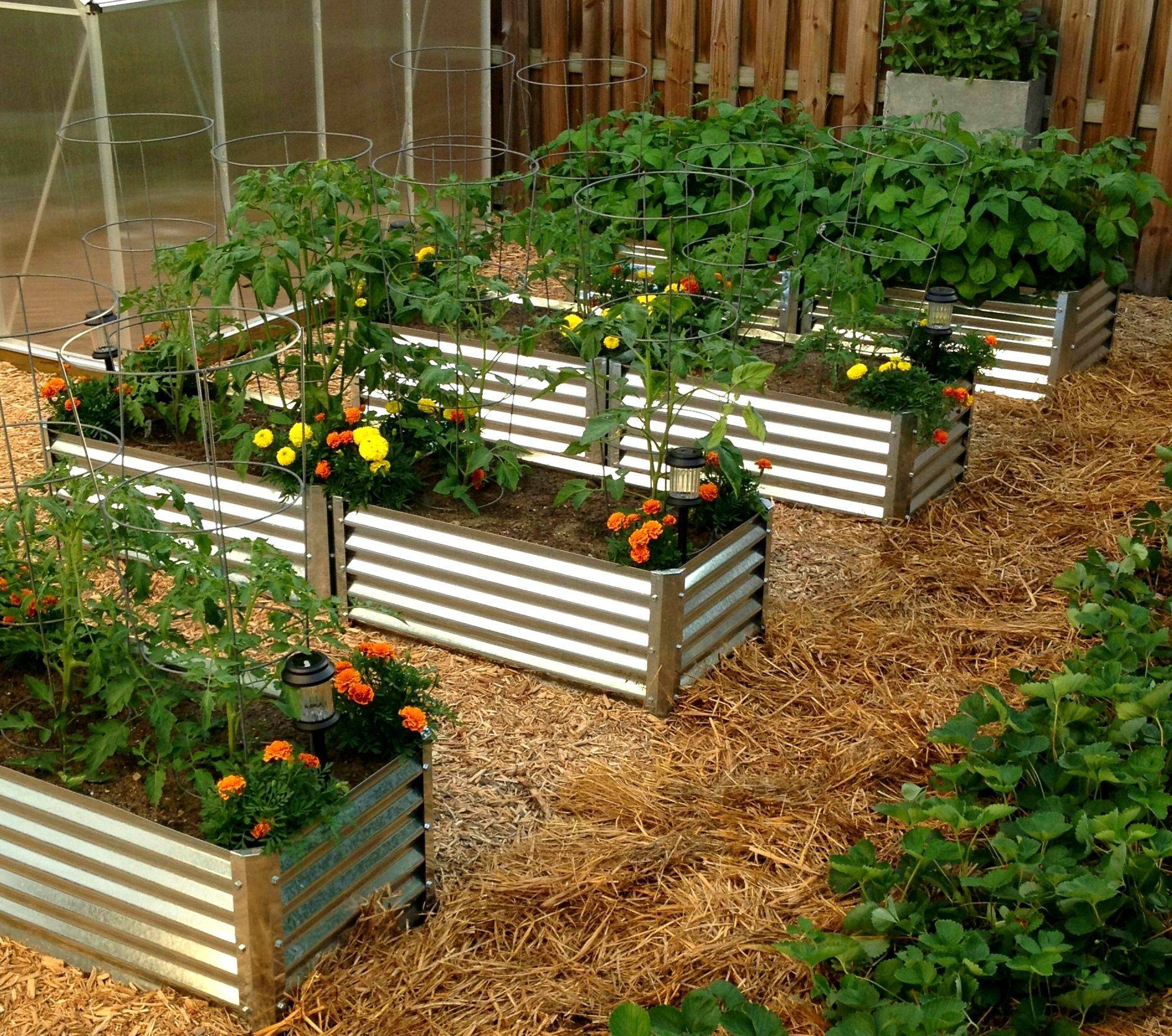 Excellent Images Raised Garden Bed Tin Style