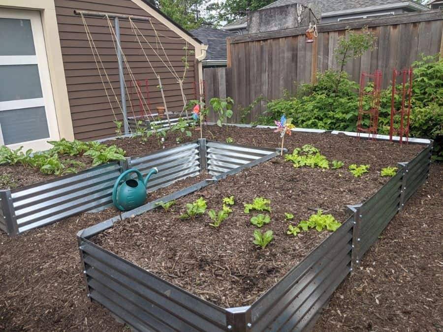 Gardening Tips Pt I