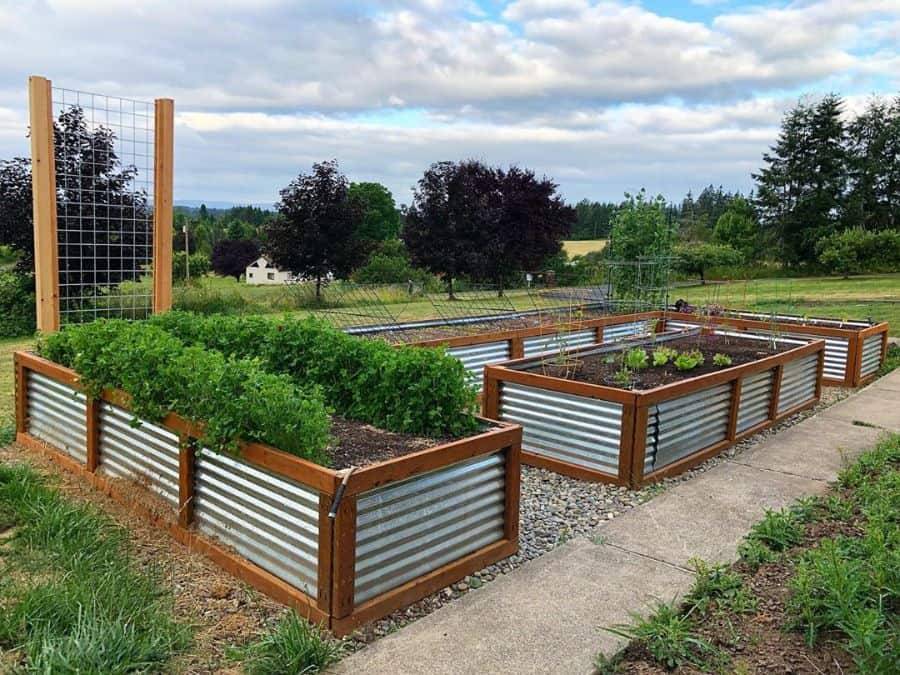 Metal Edge Raised Garden Bed