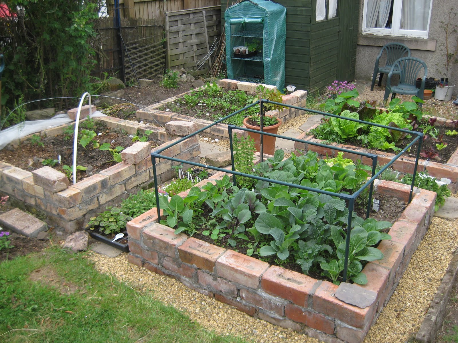 Brick Raised Beds Update