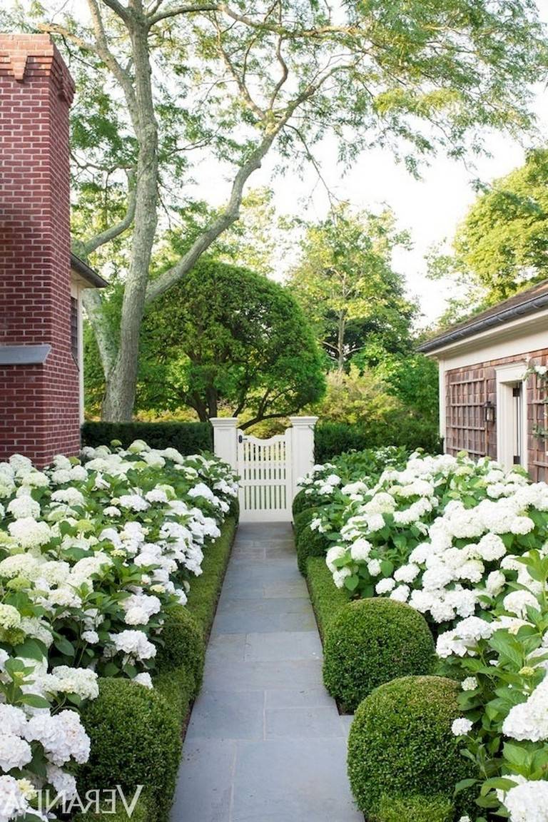 Lush Country Garden