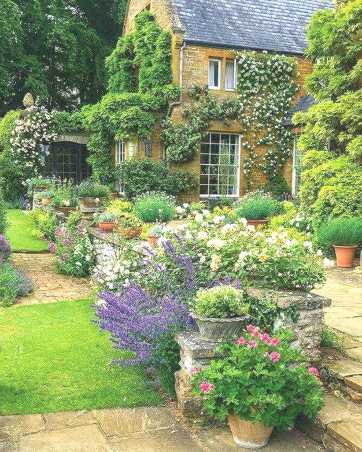 Pin On Flowers And Plants