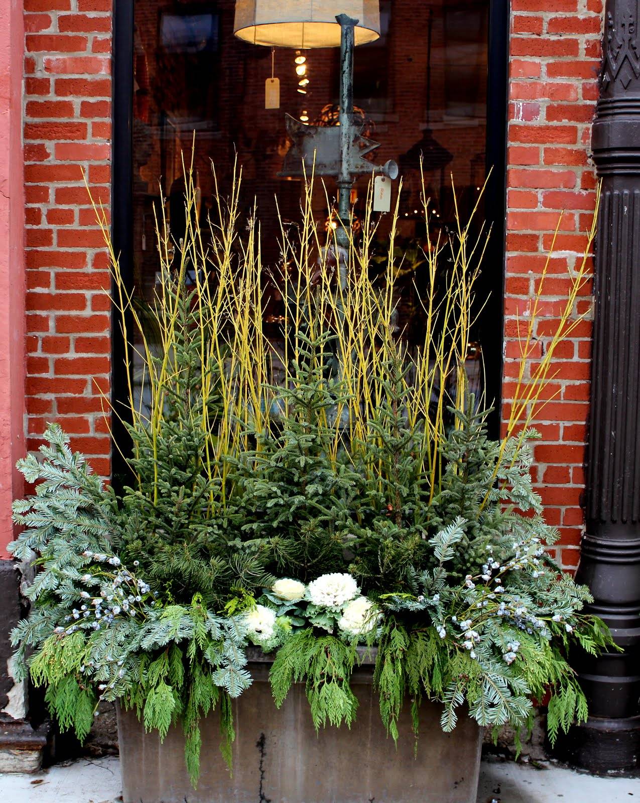 Beautiful Outdoor Winter Container Gardening Ideas