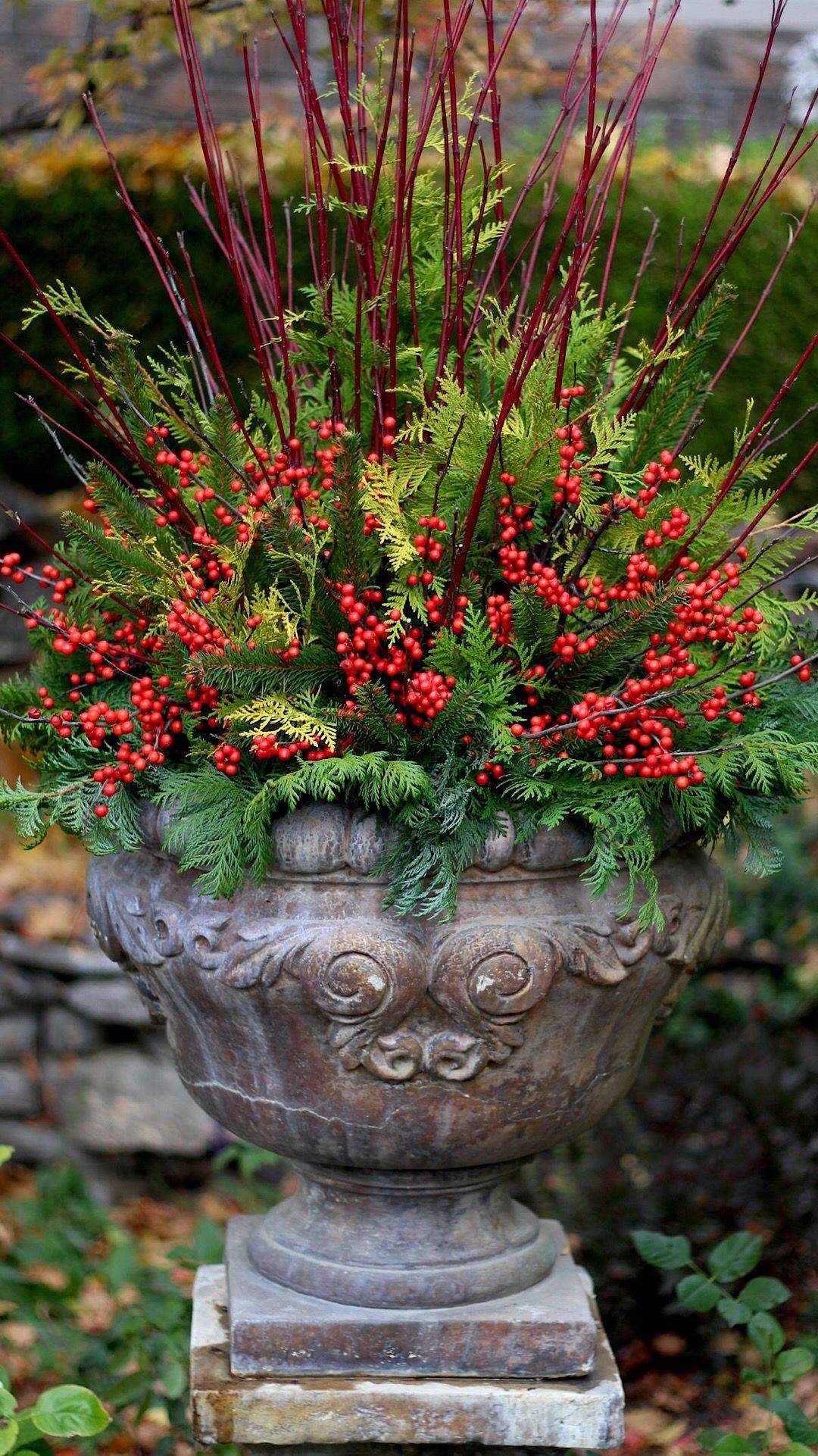 Beautiful Winter Garden Containers