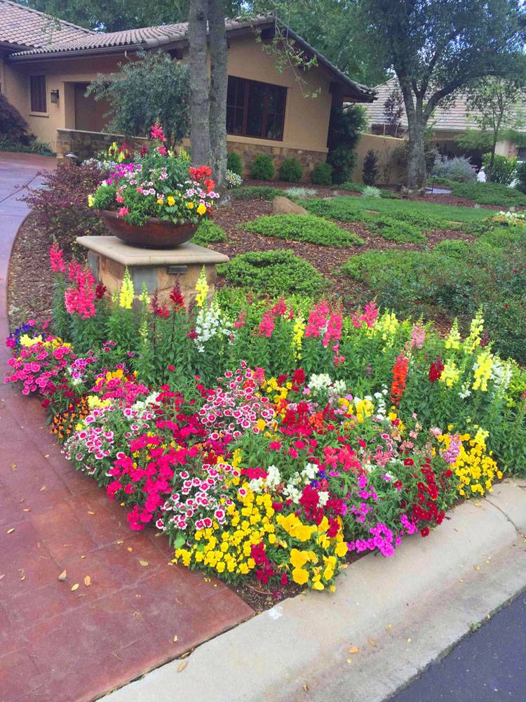 Fall Winter Flower Beds Landscape Makeover