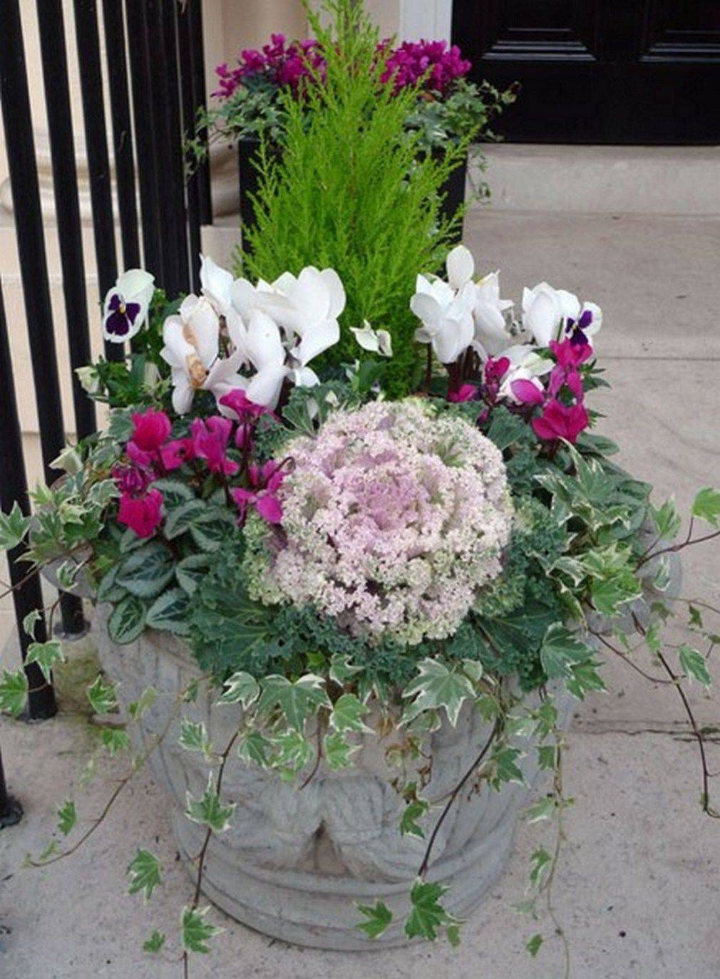 Fall Winter Flower Beds Landscape Makeover
